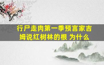 行尸走肉第一季预言家吉姆说红树林的根 为什么